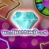 เกมสล็อต Wild Diamond Wins